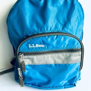 L.L. Bean Blue and Gray Men's Backpack